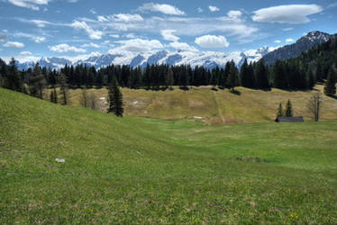 Mountain Meadows