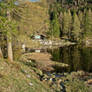 Lakeside Tranquillity