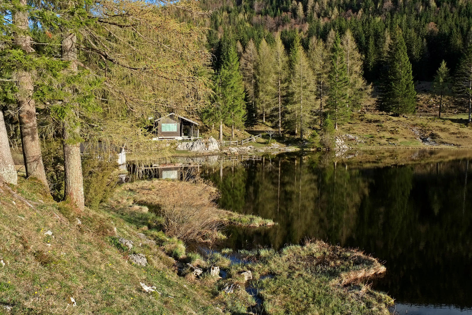 Lakeside Tranquillity