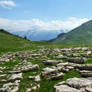 Rocky Field