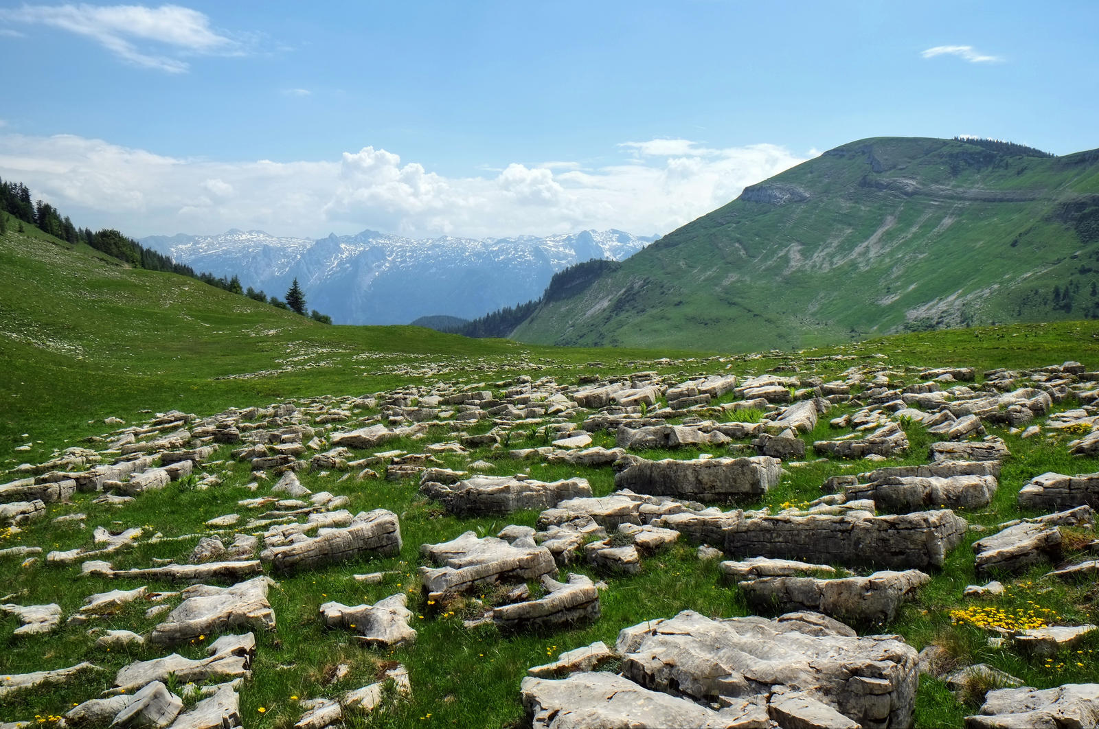 Rocky Field