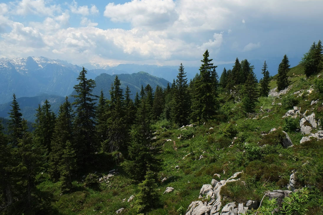 Treeline Ridge Treeline by Burtn on DeviantArt