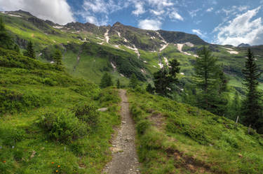 Mountain Trail