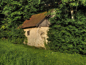 Hidden Old Mill