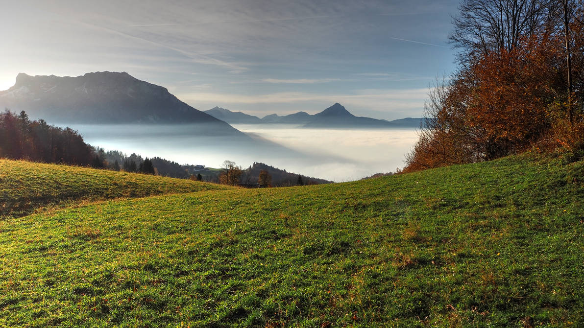 Over The Fog by Burtn