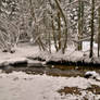 Snowy Forest With River