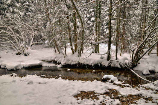 Snowy Forest With River