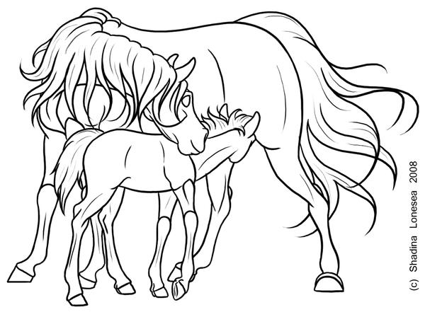 Mare and Foal - lineart