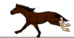 Gallop animation request