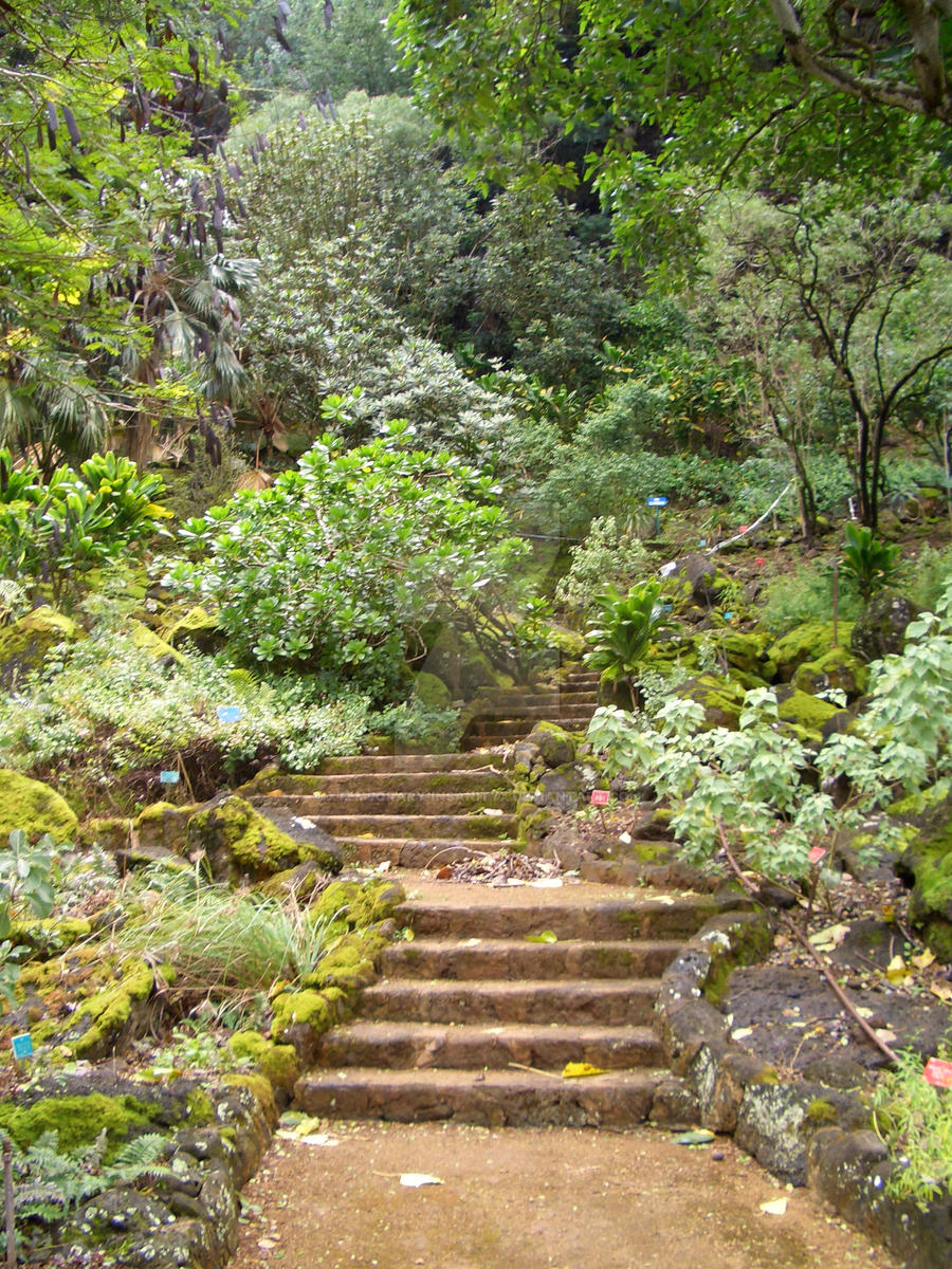 Magic Steps by Xtemporary-insanityX on DeviantArt