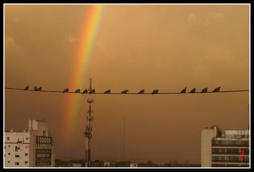 Hey dude Look, that Rainbow