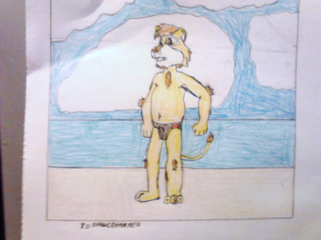 sprucehammer the Lion at the Beach