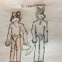 Fox McCloud and Wolf O'Donnell in Speedos