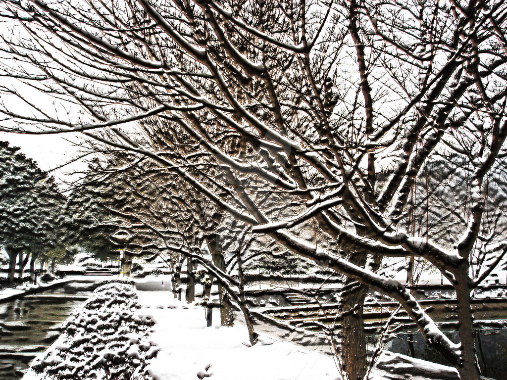 3d snowscape by ffpeng on DeviantArt