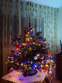 Stock Christmas Tree 2025