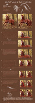 Mane and Tail Tutorial.