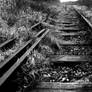 Abandoned Rail