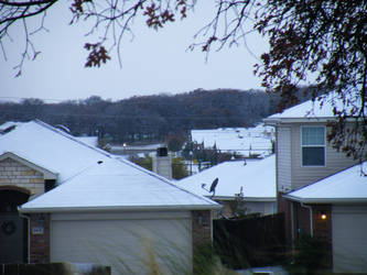 Snowy Rooves IV