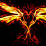Phoenix love