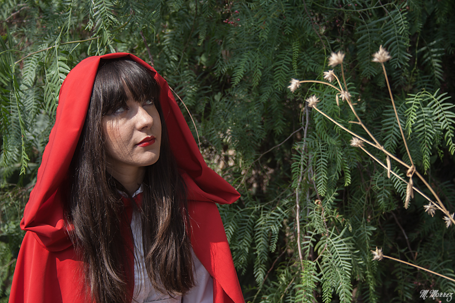 Little Red Riding Hood 02