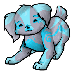 Blue Puppy Adoptable