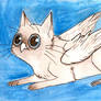 Owl Cat I