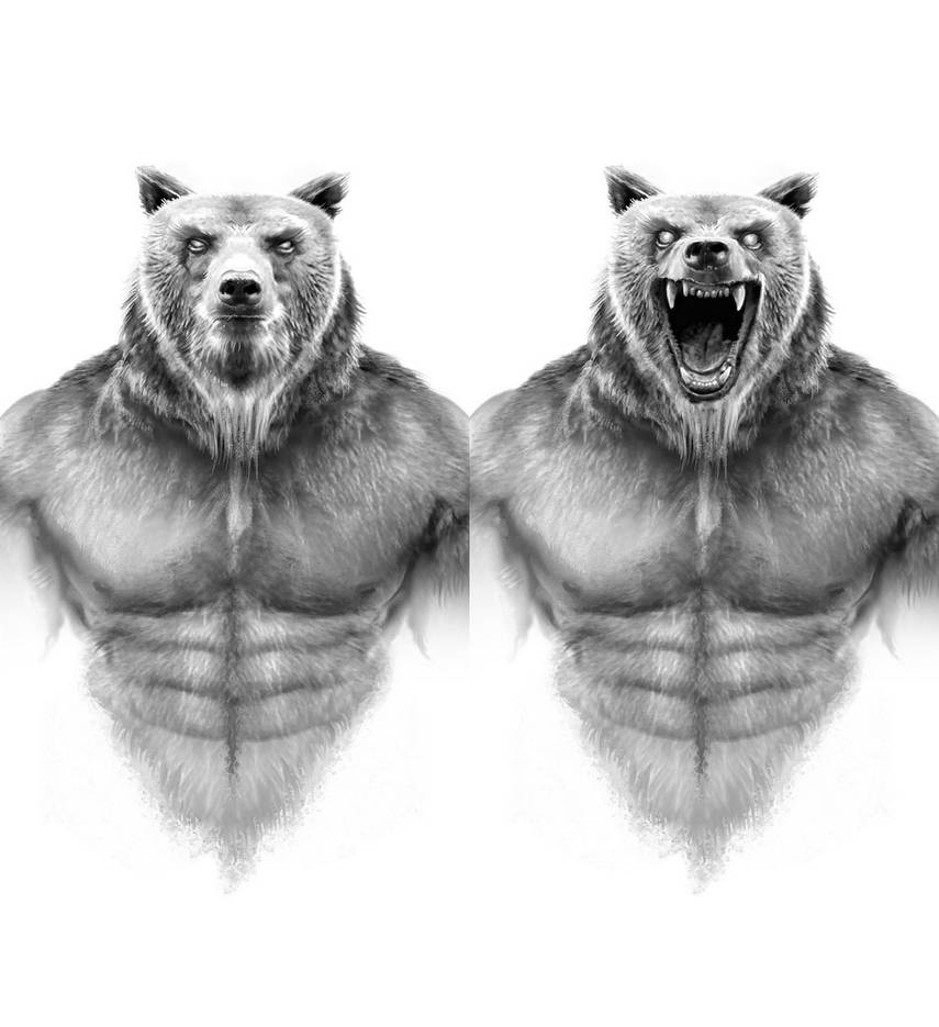 Werebear by DominikBroniek on DeviantArt