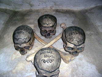 skulls