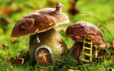 Mushroom house