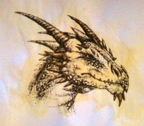 Dragon head