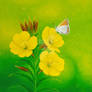 Flower and butterfly