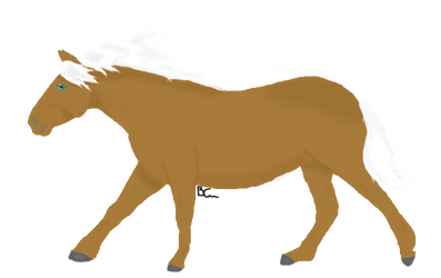 Haflinger