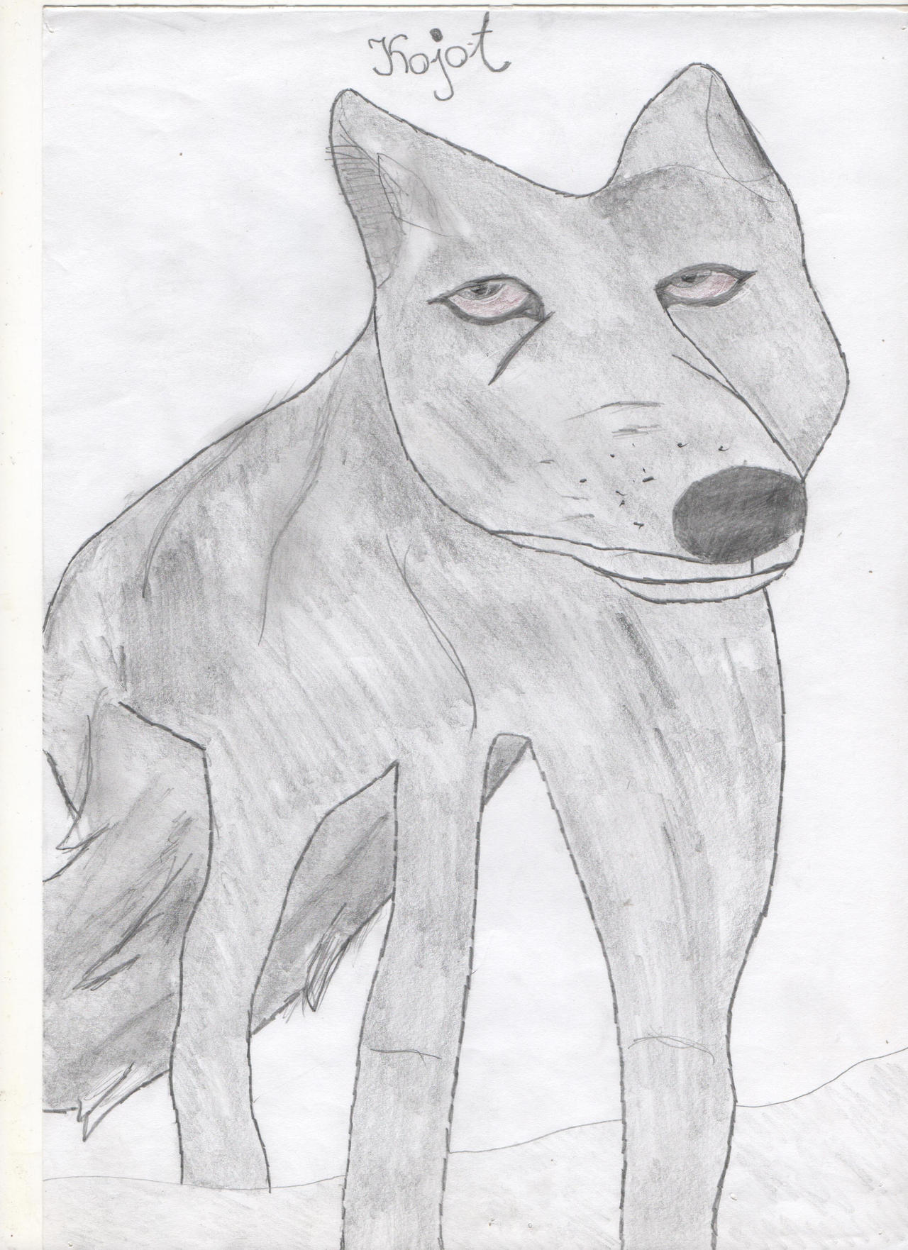 Kojot By Pmiazga22 On DeviantArt kojot-by-pmiazga22-on-deviantart