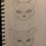I can’t draw animals TvT