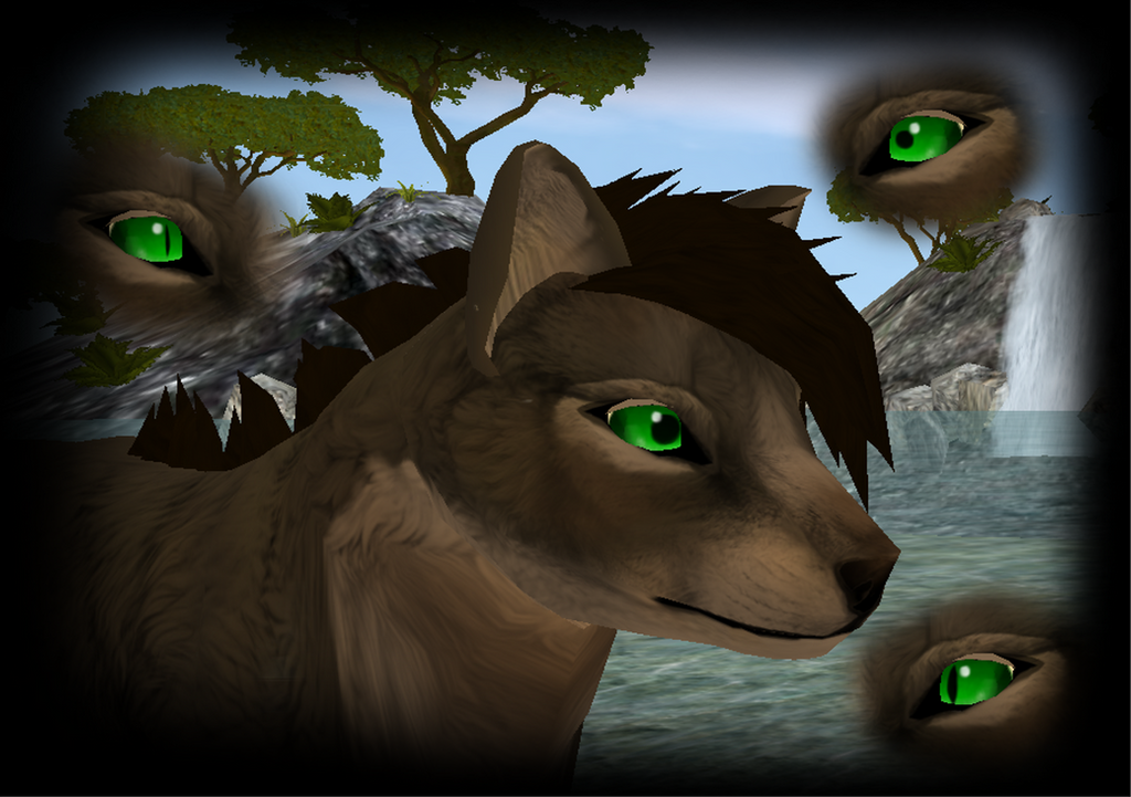 FeralHeart - Eye Textures by Circusfreak