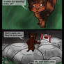 Warrior Cats: Into the Wild (Canadian Edition)