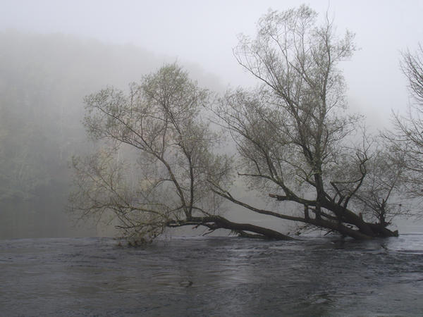 Fog on the Dordogne river 03