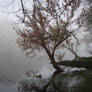 Fog on the Dordogne river 06