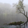 Fog on the Dordogne river 07