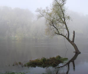 Fog on the Dordogne river 07 by HermitCrabStock
