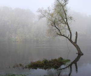 Fog on the Dordogne river 07 by HermitCrabStock Fog on the Dordogne river 07 by HermitCrabStock