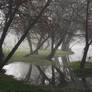 Fog on the Dordogne river 09