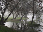 Fog on the Dordogne river 09 by HermitCrabStock