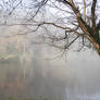 Fog on the Dordogne river 10