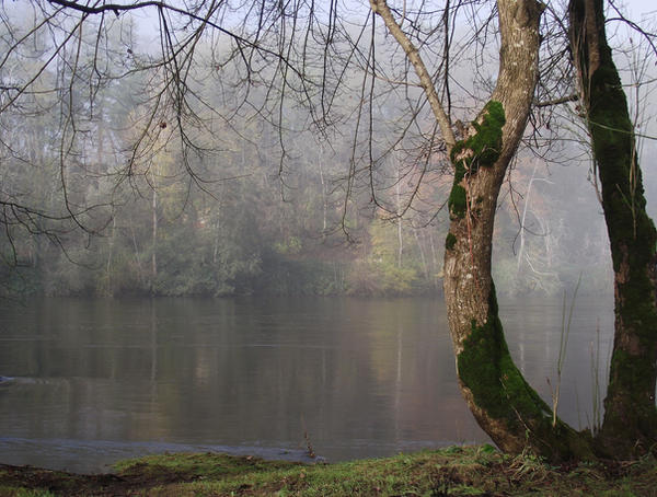 Mist on the Dordogne river 11