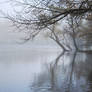 Fog on the Dordogne river 13