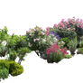 Flowered garden png 03