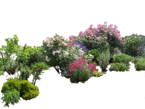 Flowered garden png 03