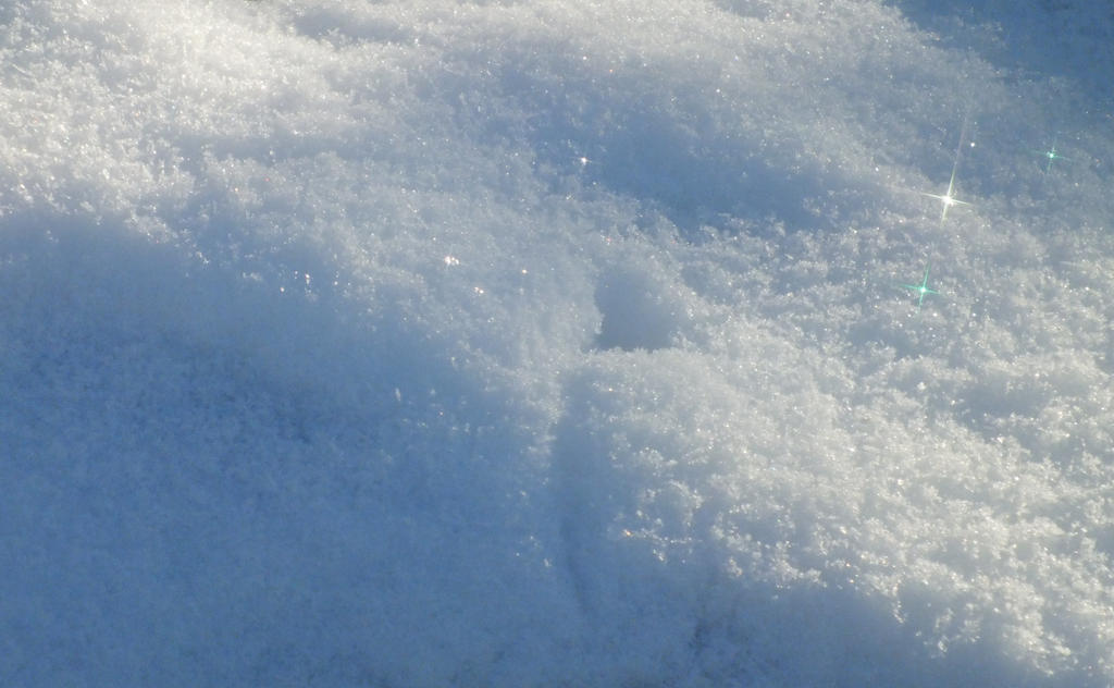 Snow texture 10