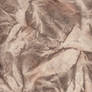Himalayan paper texture 3